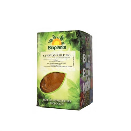 CURRY AMABILE IN POLVERE BIO 100 GR