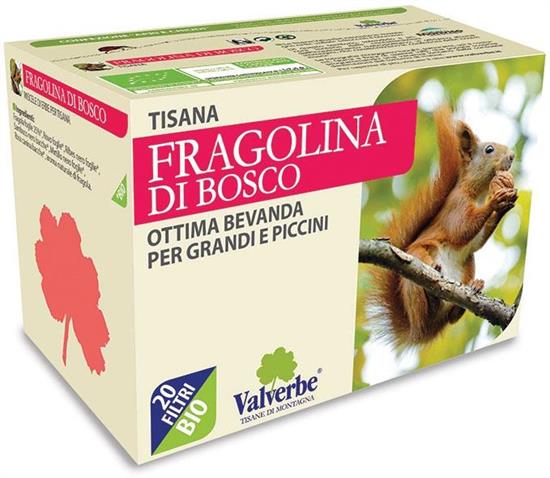 TISANA FRAGOLINA DI BOSCO 30 G (VALVERBE)